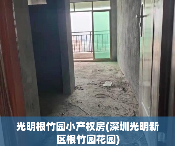 光明根竹园小产权房(深圳光明新区根竹园花园)