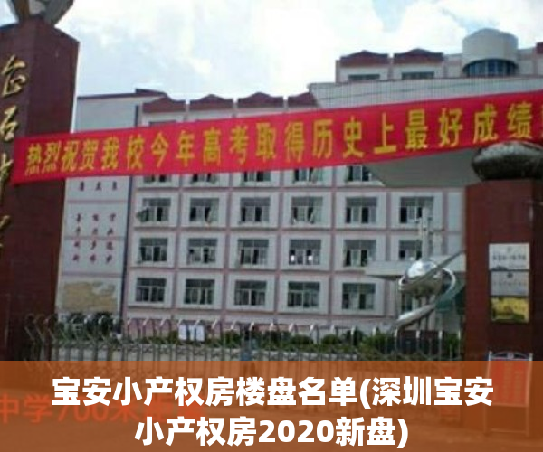 宝安小产权房楼盘名单(深圳宝安小产权房2020新盘)