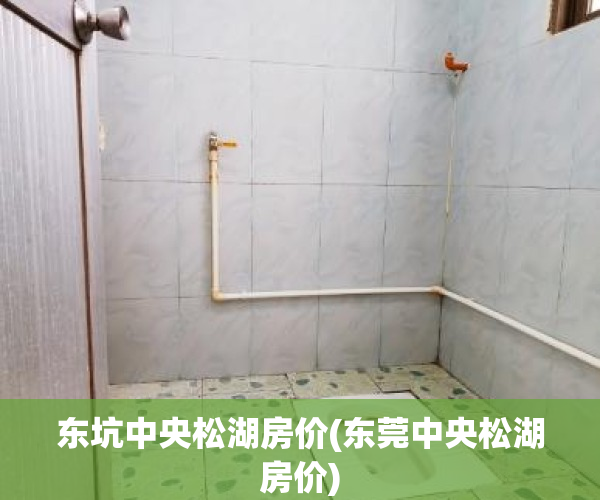东坑中央松湖房价(东莞中央松湖房价)