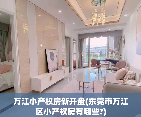 万江小产权房新开盘(东莞市万江区小产权房有哪些?)