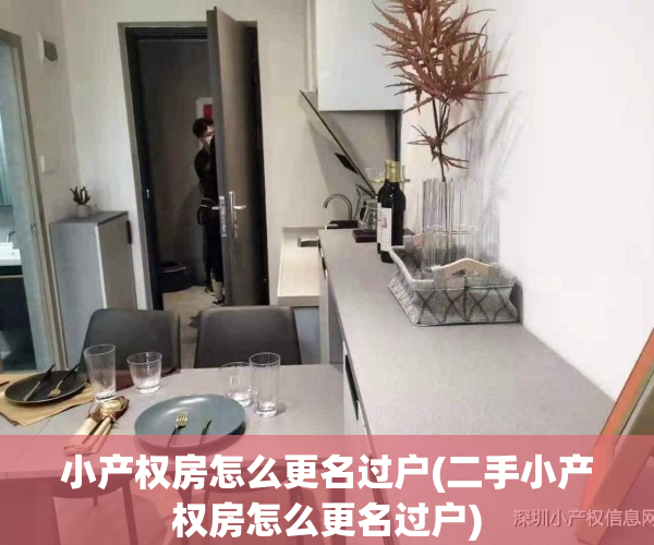 小产权房怎么更名过户(二手小产权房怎么更名过户)