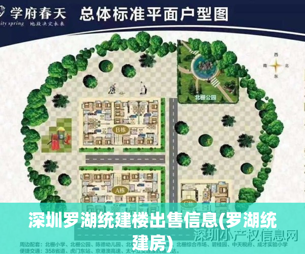 深圳罗湖统建楼出售信息(罗湖统建房)