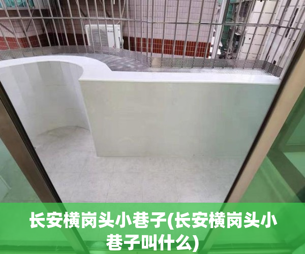 长安横岗头小巷子(长安横岗头小巷子叫什么)