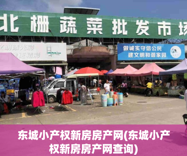 东城小产权新房房产网(东城小产权新房房产网查询)