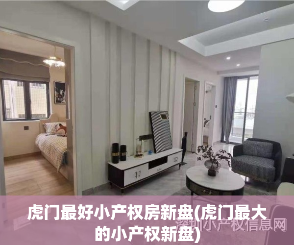 虎门最好小产权房新盘(虎门最大的小产权新盘)