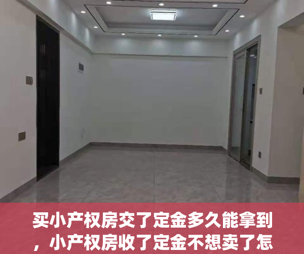 买小产权房交了定金多久能拿到，小产权房收了定金不想卖了怎么办(小产权房买家定金不退可以吗)