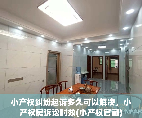 小产权纠纷起诉多久可以解决，小产权房诉讼时效(小产权官司)