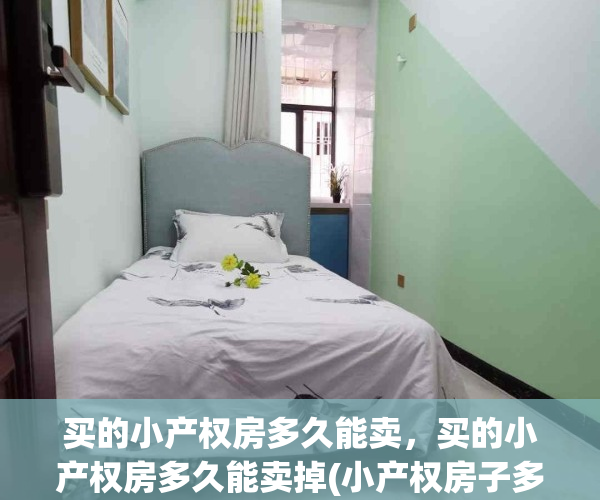 买的小产权房多久能卖，买的小产权房多久能卖掉(小产权房子多久能卖出去)