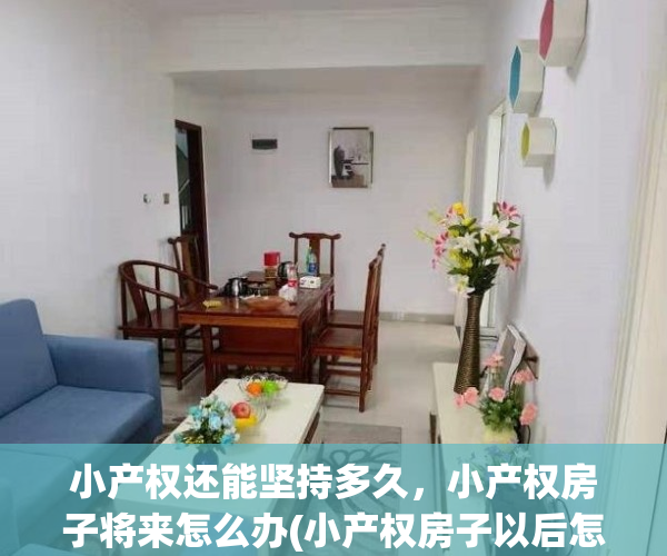 小产权还能坚持多久，小产权房子将来怎么办(小产权房子以后怎么处理,能住多少年)