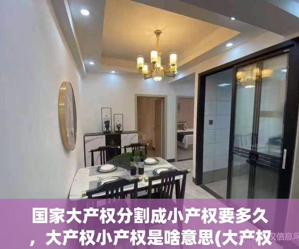 国家大产权分割成小产权要多久，大产权小产权是啥意思(大产权小产权区分)