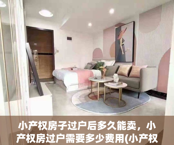 小产权房子过户后多久能卖，小产权房过户需要多少费用(小产权房过户多久可以买卖)