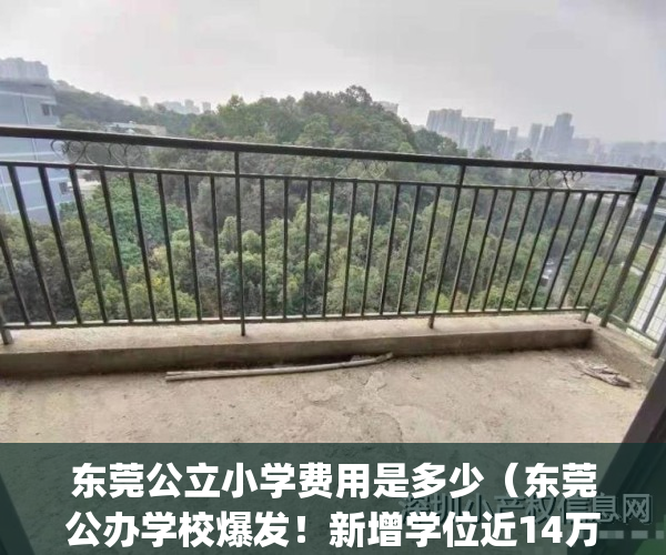 东莞公立小学费用是多少（东莞公办学校爆发！新增学位近14万个！）(东莞公办小学收费标准)