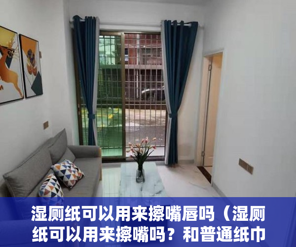 湿厕纸可以用来擦嘴唇吗（湿厕纸可以用来擦嘴吗？和普通纸巾有什么区别？一文读懂！）