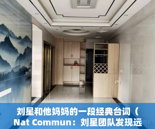 刘星和他妈妈的一段经典台词（Nat Commun：刘星团队发现远期记忆的初始标记和长期存储新机制）