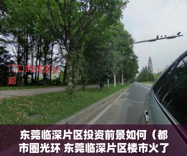 东莞临深片区投资前景如何（都市圈光环 东莞临深片区楼市火了？）