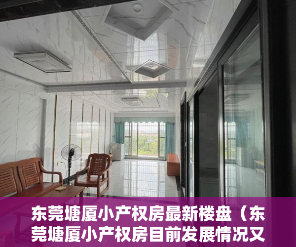 东莞塘厦小产权房最新楼盘（东莞塘厦小产权房目前发展情况又是怎样的？）