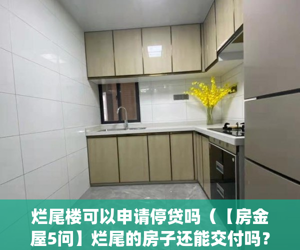 烂尾楼可以申请停贷吗（【房金屋5问】烂尾的房子还能交付吗？）(烂尾楼还可以继续建设吗)