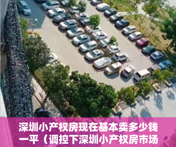 深圳小产权房现在基本卖多少钱一平（调控下深圳小产权房市场：每平方米一两万元 不按面积“按套卖”）