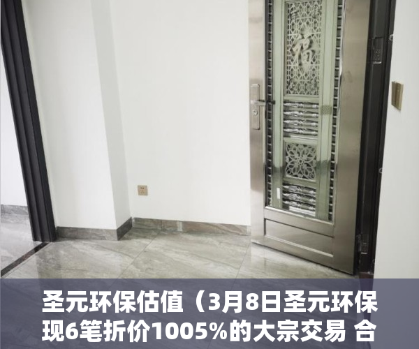圣元环保估值（3月8日圣元环保现6笔折价1005%的大宗交易 合计成交2380万元）