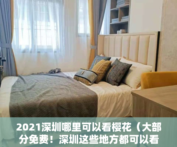 2021深圳哪里可以看樱花（大部分免费！深圳这些地方都可以看樱花，有你家附近的吗？）