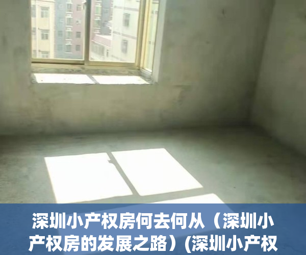 深圳小产权房何去何从（深圳小产权房的发展之路）(深圳小产权的由来)