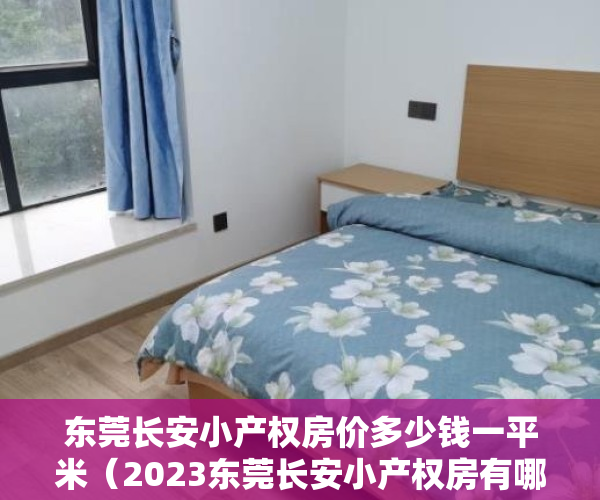 东莞长安小产权房价多少钱一平米（2023东莞长安小产权房有哪些 东莞厚街小产权房有哪些 东莞塘厦小产权房有哪些）