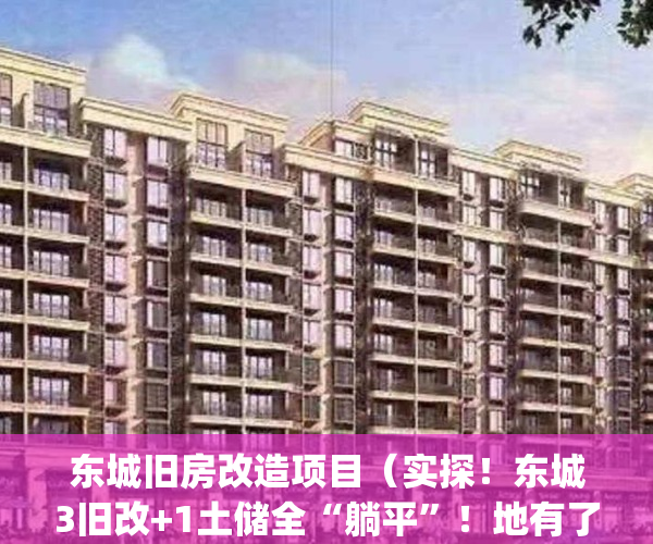 东城旧房改造项目（实探！东城3旧改+1土储全“躺平”！地有了，房子呢？）(东城区旧城改造)