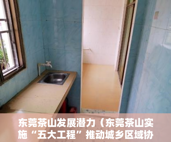 东莞茶山发展潜力（东莞茶山实施“五大工程”推动城乡区域协调发展向更高水平更高质量迈进）