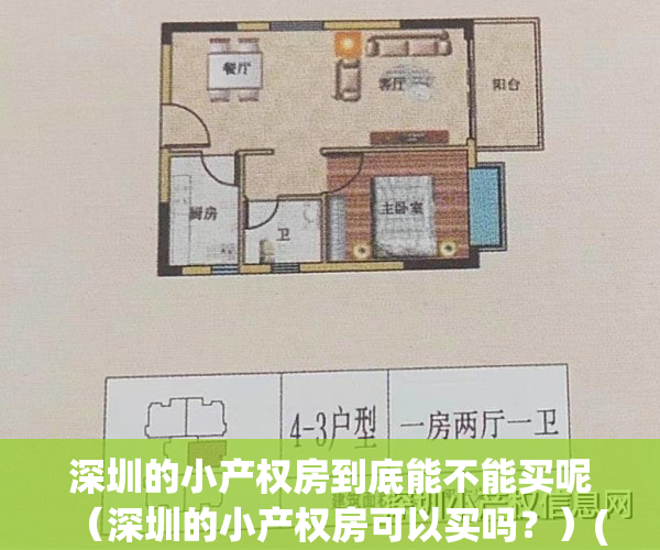 深圳的小产权房到底能不能买呢（深圳的小产权房可以买吗？）(深圳的小产权房可以买卖吗)