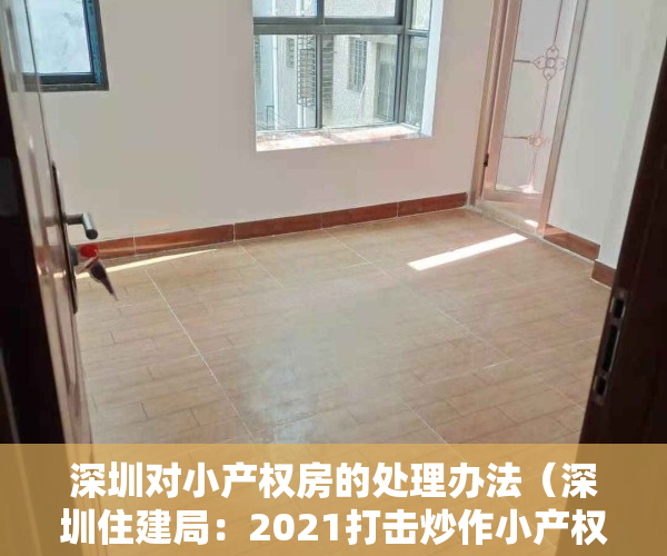 深圳对小产权房的处理办法（深圳住建局：2021打击炒作小产权学区房；2022继续整治市场秩序，二手房参考价将发布）