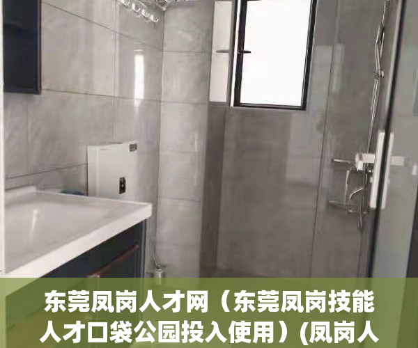 东莞凤岗人才网（东莞凤岗技能人才口袋公园投入使用）(凤岗人才市场)