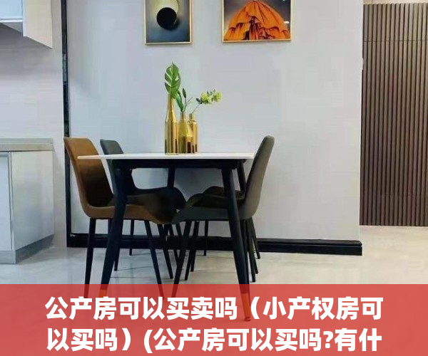 公产房可以买卖吗（小产权房可以买吗）(公产房可以买吗?有什么需要注意的)