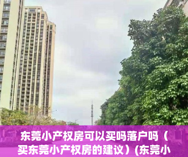 东莞小产权房可以买吗落户吗（买东莞小产权房的建议）(东莞小产权的房子可以买吗)