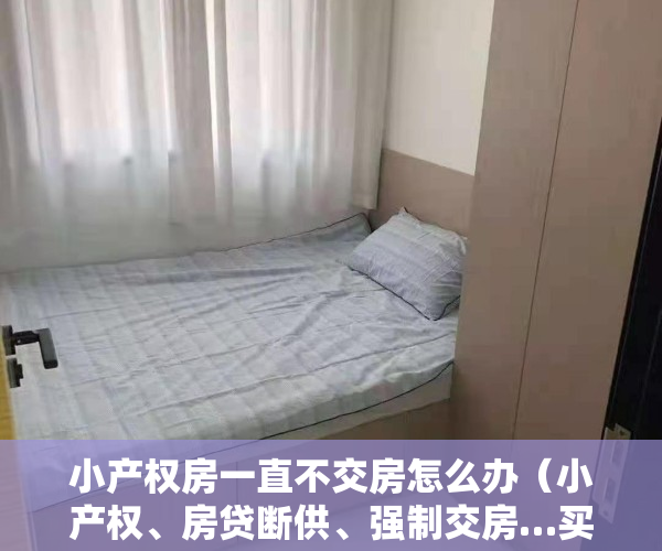 小产权房一直不交房怎么办（小产权、房贷断供、强制交房…买房千万别陷这样的麻烦！这10大典型案例为您支招！）