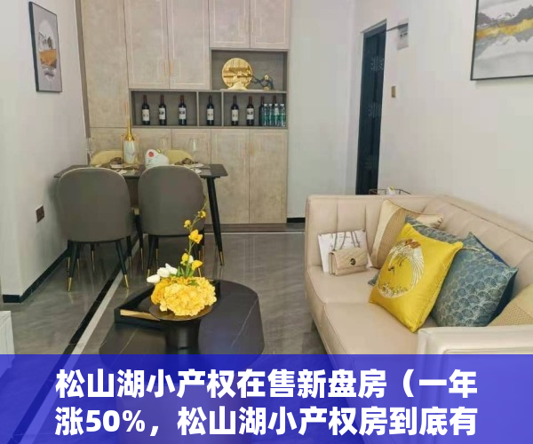 松山湖小产权在售新盘房（一年涨50%，松山湖小产权房到底有多疯，看完你就懂！）