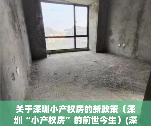 关于深圳小产权房的新政策（深圳“小产权房”的前世今生）(深圳关于小产权房问题的通知)