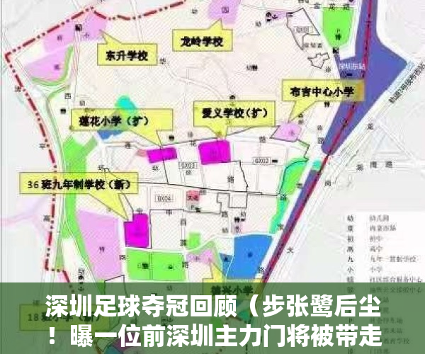 深圳足球夺冠回顾（步张鹭后尘！曝一位前深圳主力门将被带走，或涉嫌其他假球案）