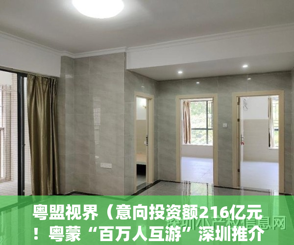 粤盟视界（意向投资额216亿元！粤蒙“百万人互游”深圳推介会举行）(粤蒙新能源公司)