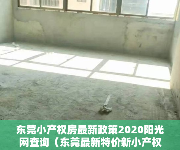 东莞小产权房最新政策2020阳光网查询（东莞最新特价新小产权楼盘推荐！）