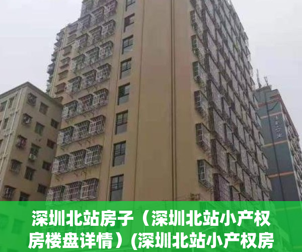 深圳北站房子（深圳北站小产权房楼盘详情）(深圳北站小产权房价2019)