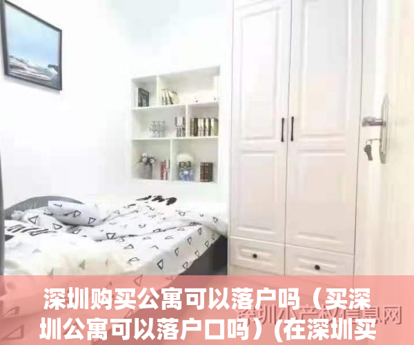 深圳购买公寓可以落户吗(买深圳公寓可以落户口吗)(在深圳买套公寓可以入户吗?)