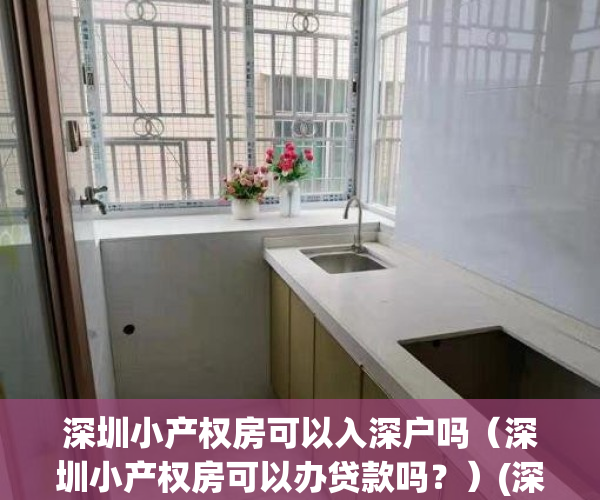 深圳小产权房可以入深户吗（深圳小产权房可以办贷款吗？）(深圳小产权房能落户口吗)