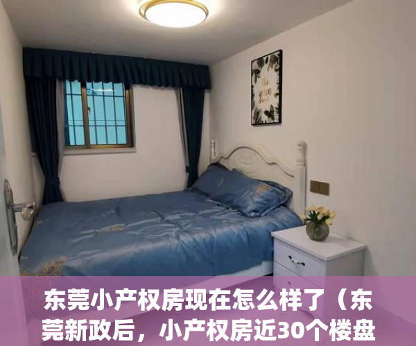 东莞小产权房现在怎么样了（东莞新政后，小产权房近30个楼盘来了！）(东莞小产权房价2020最新价格)