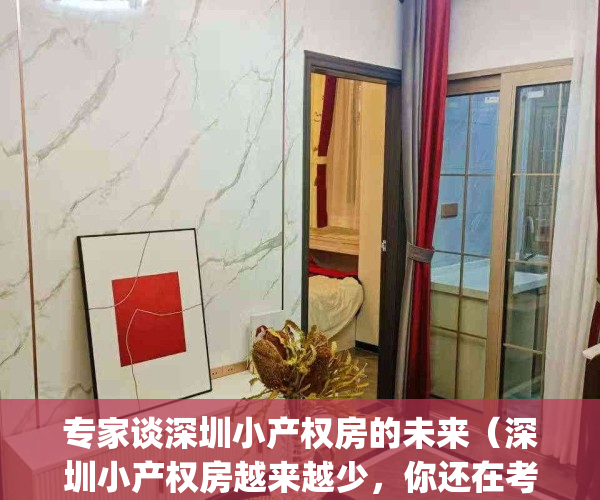 专家谈深圳小产权房的未来（深圳小产权房越来越少，你还在考虑吗？）(深圳小产权房何去何从)