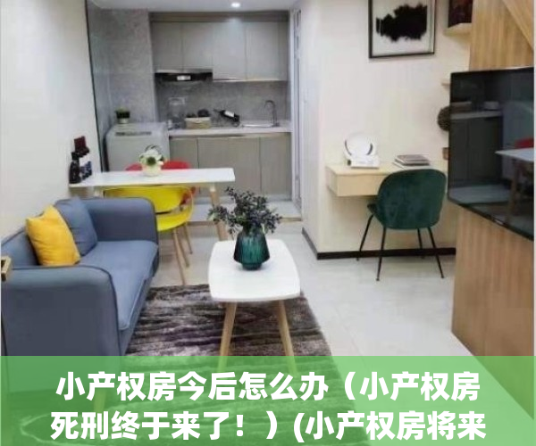 小产权房今后怎么办（小产权房死刑终于来了！）(小产权房将来怎么处理)