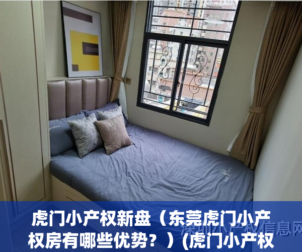虎门小产权新盘（东莞虎门小产权房有哪些优势？）(虎门小产权前景如何)